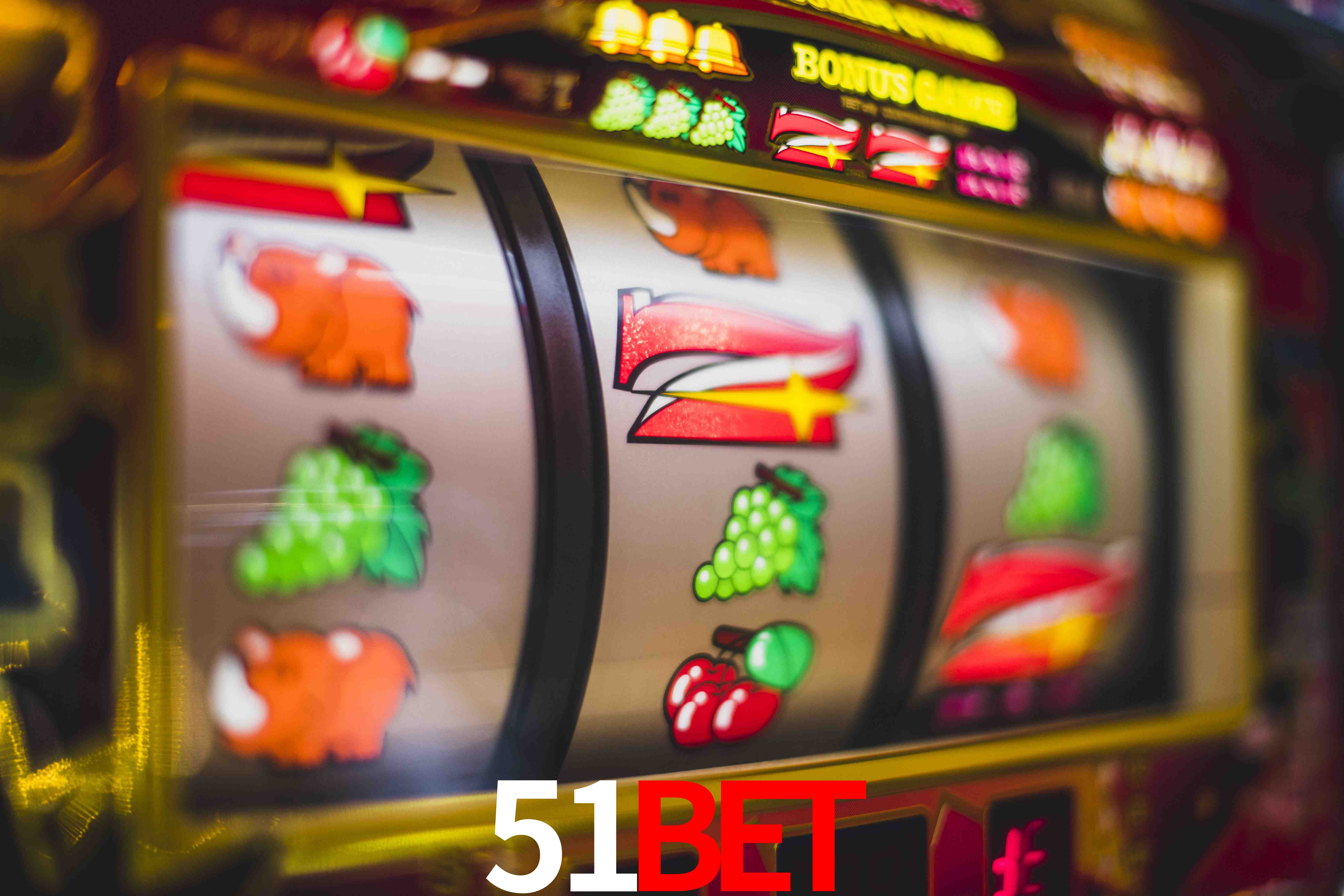 Crash Games Statistics 51BET
